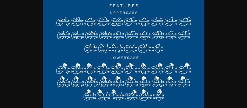 Brilliana Monogram Font Poster 9