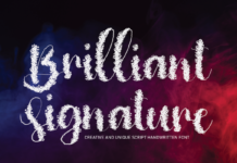 Brilliant Signature Font Poster 1