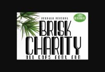 Brisk Charity Font Poster 1