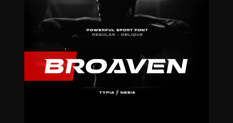 Broaven Poster 3