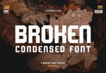 Broken Font Poster 1