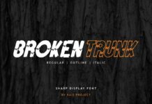 Broken Trunk Font Poster 1