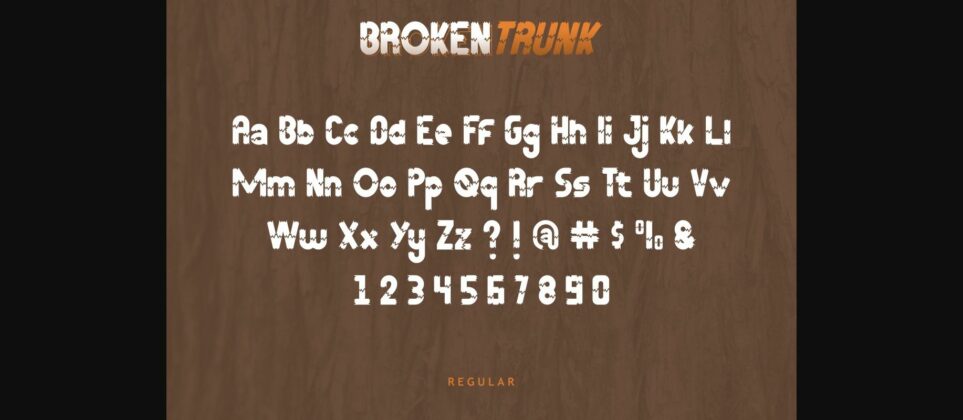Broken Trunk Font Poster 6