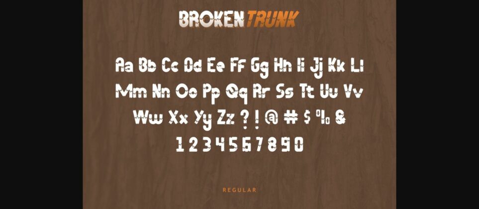 Broken Trunk Font Poster 6