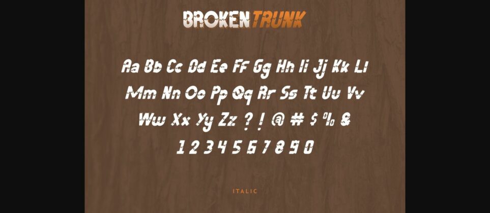 Broken Trunk Font Poster 10