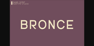 Bronce Font Poster 1