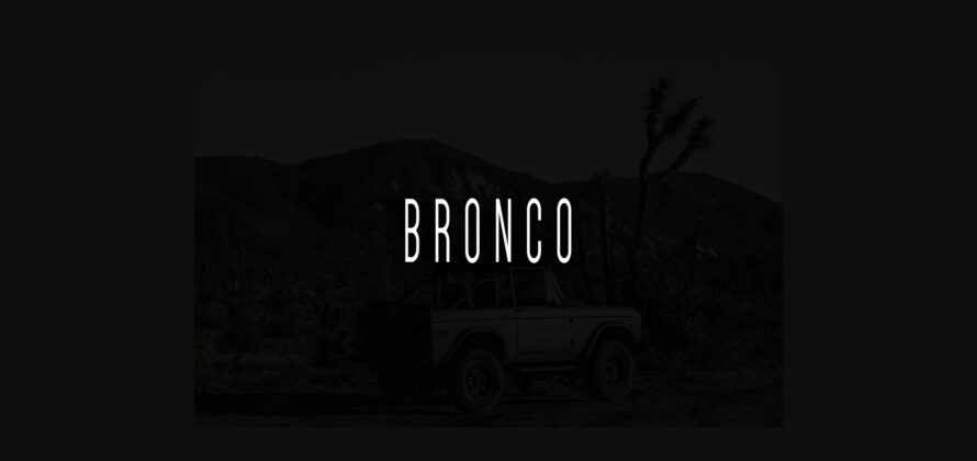 Bronco Font Poster 1