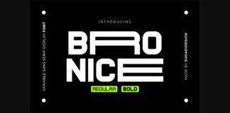 Bronice Font Poster 1