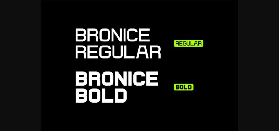 Bronice Font Poster 7
