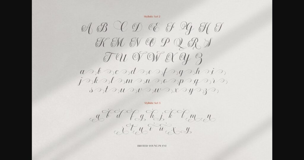 Broted Young Plant Font Poster 9