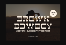 Brown Cowboy Poster 1