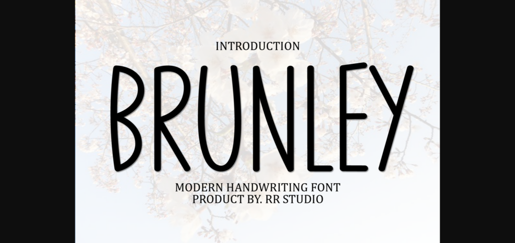 Brunley Font Poster 3