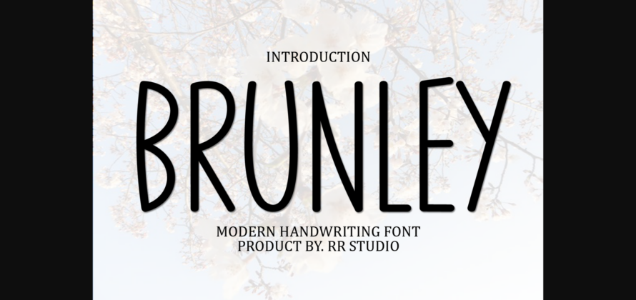 Brunley Font Poster 3