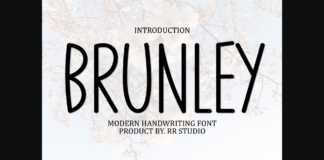 Brunley Font Poster 1