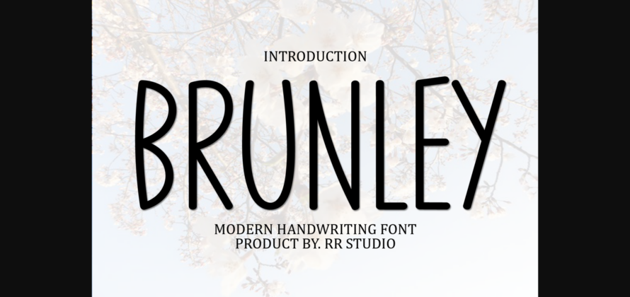 Brunley Font Poster 1