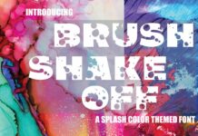 Brush Shake off Font Poster 1