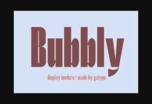 Bubbly Font Poster 1