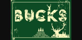Bucks Font Poster 1