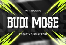 Budi Mose Font Poster 1