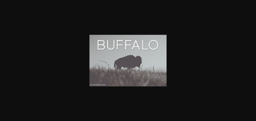 Buffalo Font Poster 3