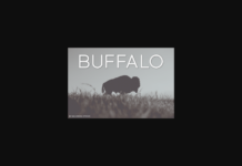 Buffalo Font Poster 1