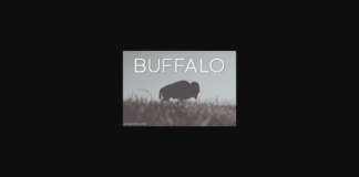 Buffalo Font Poster 1