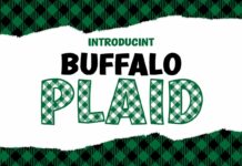 Buffalo Plaid Font Poster 1