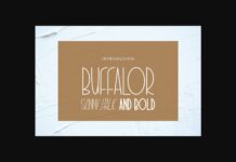 Buffalor Font Poster 1