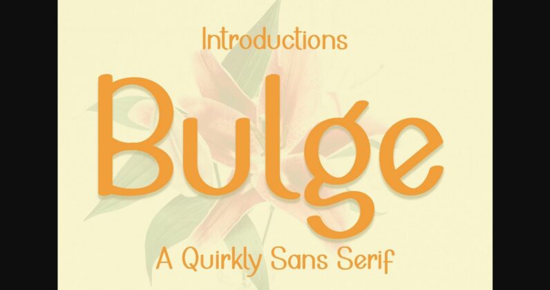 Bulge Font Poster 3