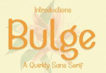 Bulge Font Poster 1