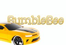 Bumble Bee Poster 1
