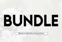 Bundle Font Poster 1