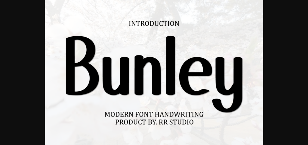 Bunley Font Poster 1