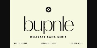 Bupnle Font Poster 1