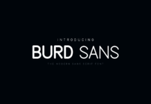 Burd Sans Font Poster 1