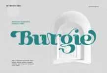 Burgie Fonts
