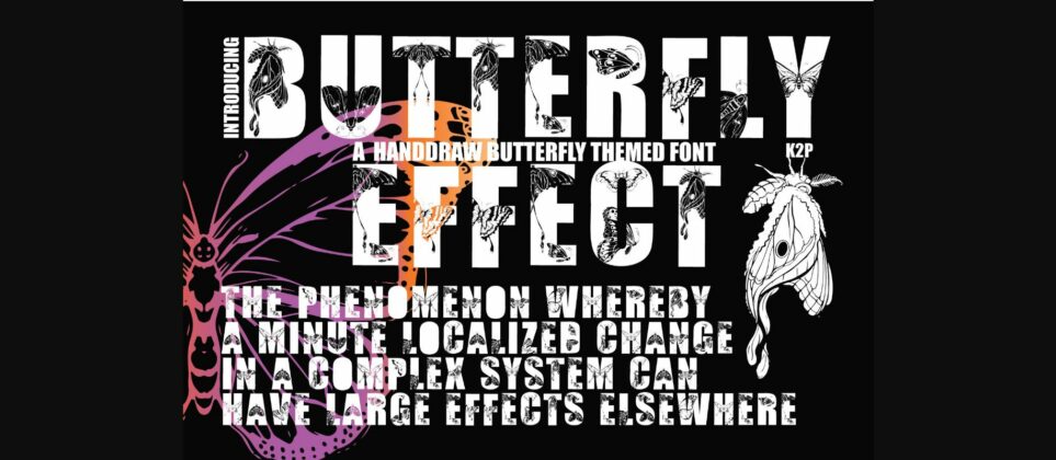 Butterfly Effect Font Poster 3