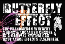 Butterfly Effect Font Poster 1