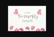 Butterfly Love Oo Font Poster 1