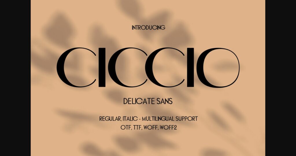 Ciccio Font Poster 3