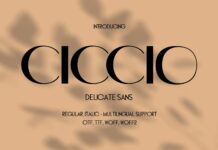 Ciccio Font Poster 1