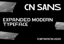CN Sans Font Poster 1