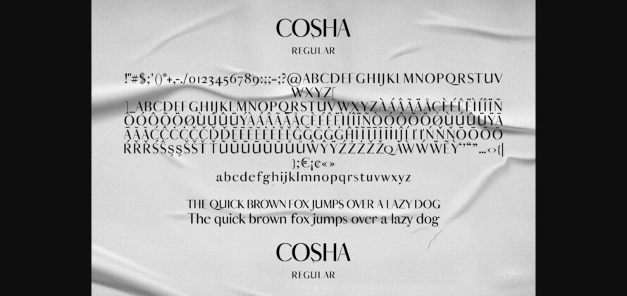 Cosha Font Poster 8