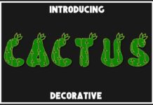 Cactus Font Poster 1