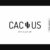 Cactus Font