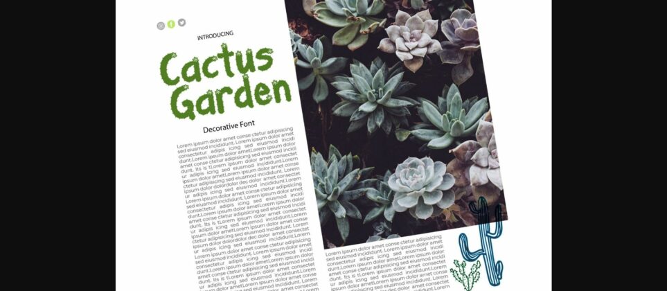 Cactus Garden Font Poster 5
