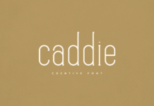 Caddie Font Poster 1