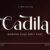 Cadila Font