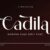 Cadila Font