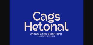 Cags Hetonal Font Poster 1